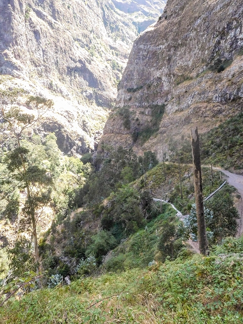 21 August 2017 Levada do Cidrao and a visit to the upper Miradouro do Curral das Freiras — Path and views into the valley of the Ribeira do Cidrao — photo 1