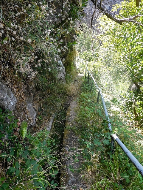 Levada do Cidrao — Bis zur Brücke — Foto 3