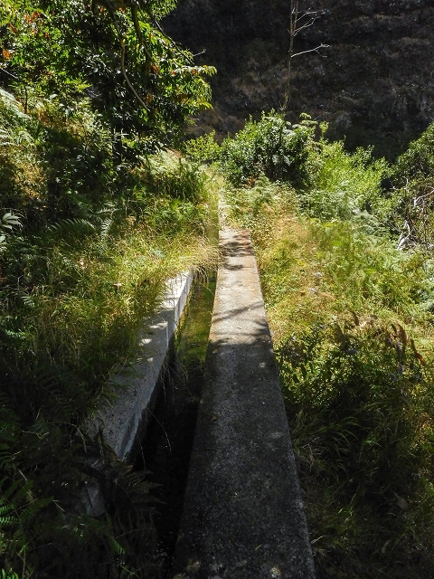 Levada do Cidrao — Bis zur Brücke — Foto 4