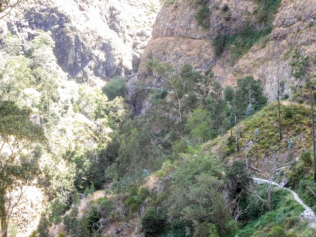 21 August 2017 Levada do Cidrao and a visit to the upper Miradouro do Curral das Freiras — Path and views into the valley of the Ribeira do Cidrao — photo 2