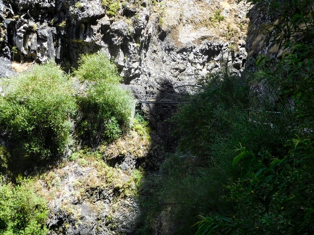 Levada do Cidrao — Auf der Levada zum Tunneleingang — Foto 3