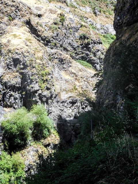 Levada do Cidrao — Auf der Levada zum Tunneleingang — Foto 4