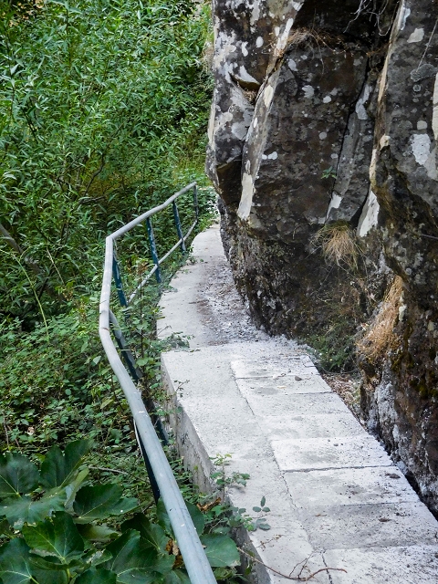 Levada do Cidrao — Auf der Levada zum Tunneleingang — Foto 5