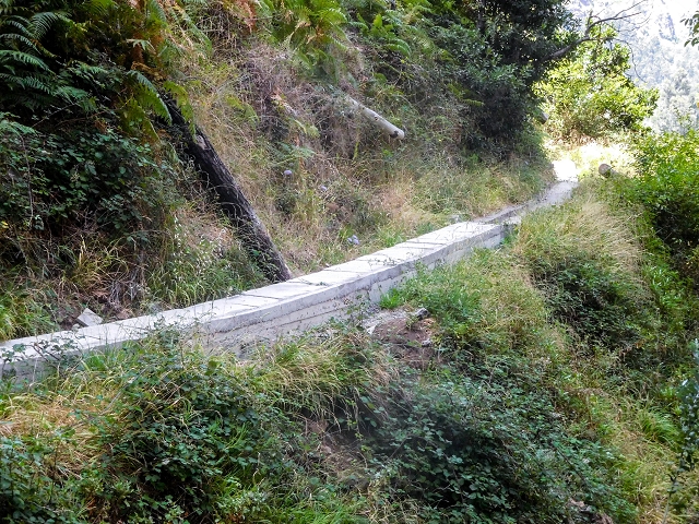 Levada do Cidrao — Auf der Levada zum Tunneleingang — Foto 6
