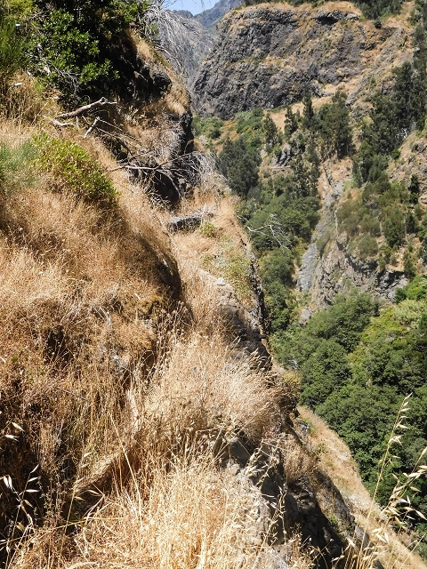 Levada do Cidrao — Der alte ausgesetzte Verlauf — Foto 4