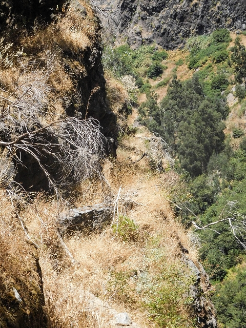 Levada do Cidrao — Der alte ausgesetzte Verlauf — Foto 6