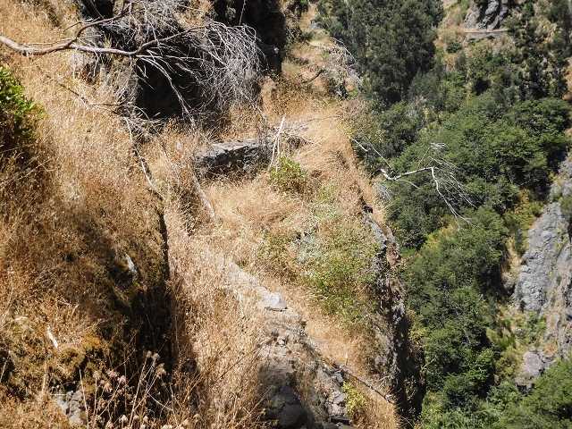 Levada do Cidrao — Der alte ausgesetzte Verlauf — Foto 8