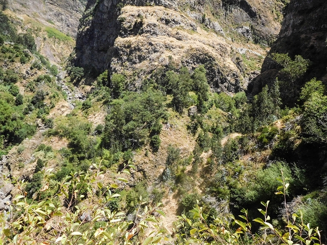 21 August 2017 Levada do Cidrao and a visit to the upper Miradouro do Curral das Freiras — Path and views into the valley of the Ribeira do Cidrao — photo 7