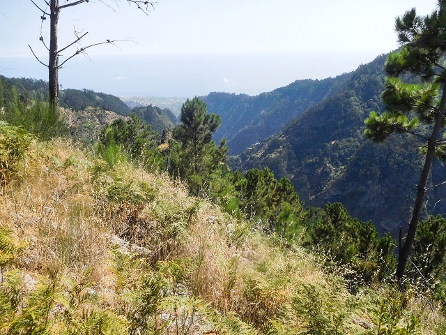 21 August 2017 Levada do Cidrao and a visit to the upper Miradouro do Curral das Freiras — Miradouro do Curral das Freiras — photo 7