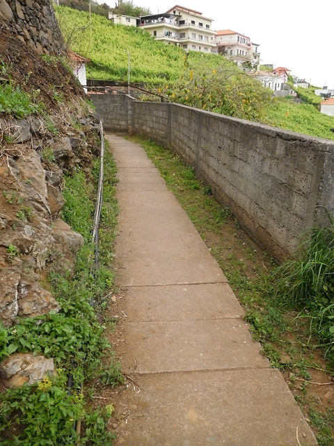 22.06.2016 Levada do Norte — Von Estreito de Camara de Lobos bis zum Tal der Ribeira da Caixa — Foto 1