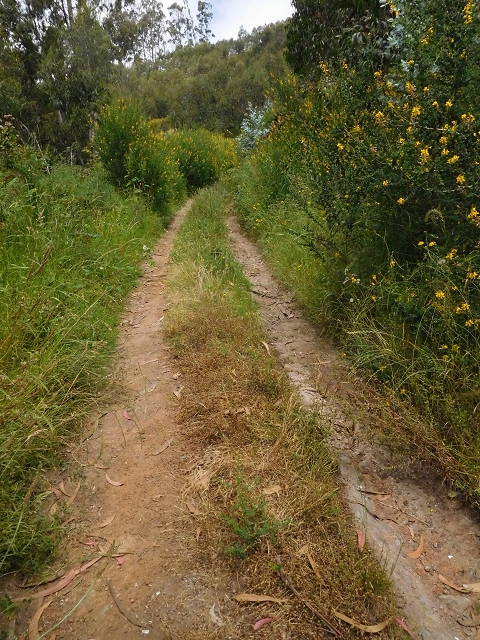 22.06.2016 Levada do Norte — Weg nach Fontainhas und Überreste der Levada do Rouca — Foto 30