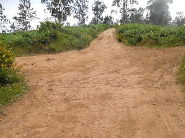 22.06.2016 Levada do Norte — Abstieg zur Levada do Norte — Foto 4