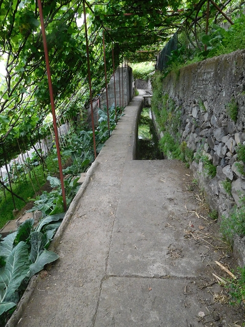 22.06.2016 Levada do Norte — Von Estreito de Camara de Lobos bis zum Tal der Ribeira da Caixa — Foto 11