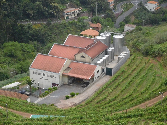 22.06.2016 Levada do Norte — Abstieg zur Levada do Norte — Foto 10