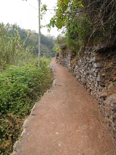 22.06.2016 Levada do Norte — Abstieg zur Levada do Norte — Foto 11