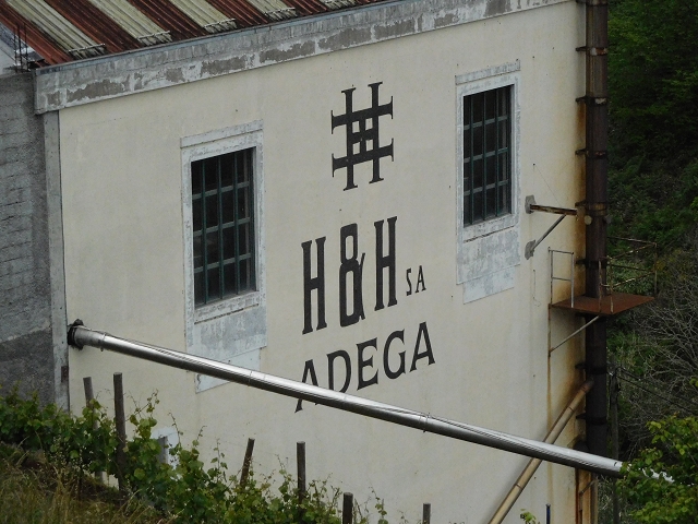 22.06.2016 Levada do Norte — Abstieg zur Levada do Norte — Foto 12