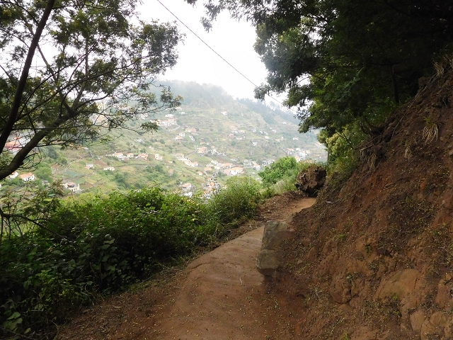 22.06.2016 Levada do Norte — Abstieg zur Levada do Norte — Foto 13