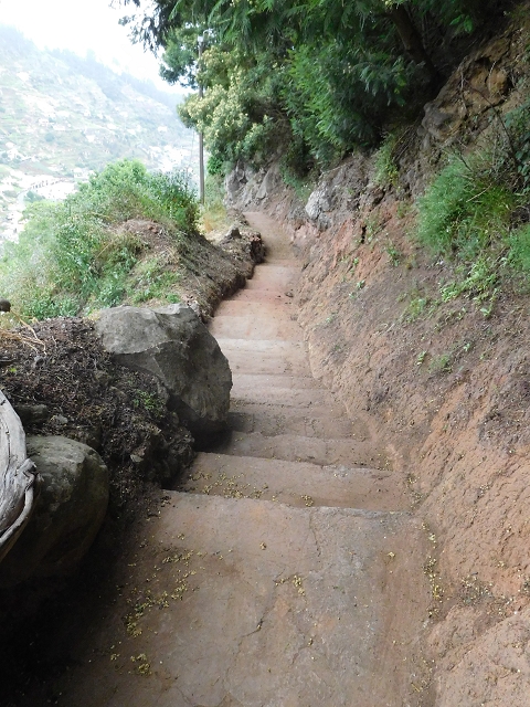 22.06.2016 Levada do Norte — Abstieg zur Levada do Norte — Foto 14