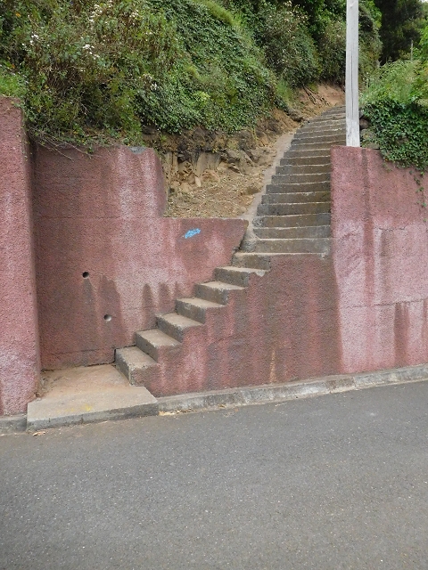 22.06.2016 Levada do Norte — Abstieg zur Levada do Norte — Foto 16