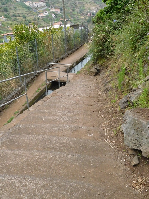 22.06.2016 Levada do Norte — Abstieg zur Levada do Norte — Foto 19