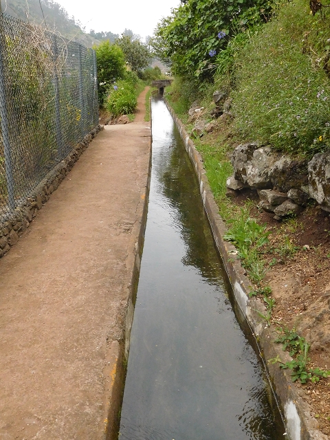 22.06.2016 Levada do Norte — Abstieg zur Levada do Norte — Foto 20