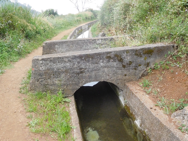 22.06.2016 Levada do Norte — Auf der Levada do Norrte durch den Cabo Girao-Tunnel bis nach Nogueira — Foto 1