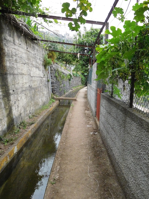 22.06.2016 Levada do Norte — Auf der Levada do Norrte durch den Cabo Girao-Tunnel bis nach Nogueira — Foto 3