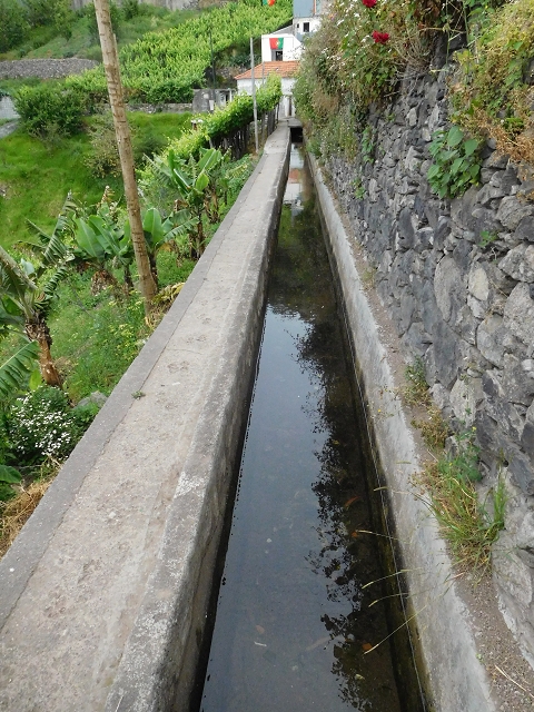 22.06.2016 Levada do Norte — Von Estreito de Camara de Lobos bis zum Tal der Ribeira da Caixa — Foto 13