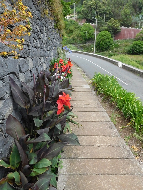 22.06.2016 Levada do Norte — Auf der Levada do Norrte durch den Cabo Girao-Tunnel bis nach Nogueira — Foto 6