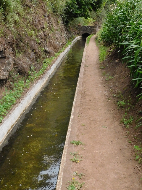 22.06.2016 Levada do Norte — Auf der Levada do Norrte durch den Cabo Girao-Tunnel bis nach Nogueira — Foto 10