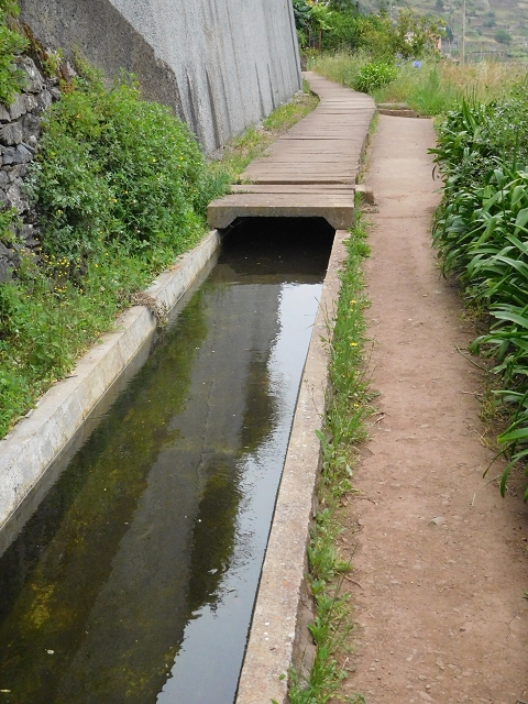 22.06.2016 Levada do Norte — Auf der Levada do Norrte durch den Cabo Girao-Tunnel bis nach Nogueira — Foto 12