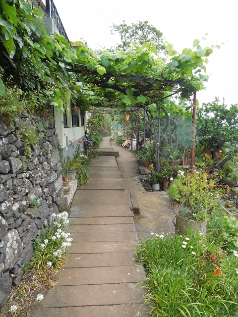 22.06.2016 Levada do Norte — Auf der Levada do Norrte durch den Cabo Girao-Tunnel bis nach Nogueira — Foto 13