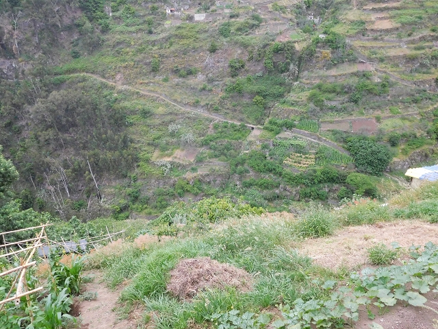 22.06.2016 Levada do Norte — Im Tal der Ribeira da Caixa — Foto 1