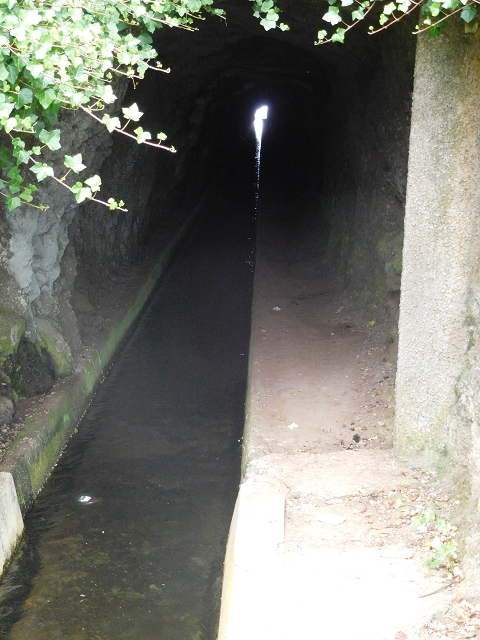 22.06.2016 Levada do Norte — Auf der Levada do Norrte durch den Cabo Girao-Tunnel bis nach Nogueira — Foto 17