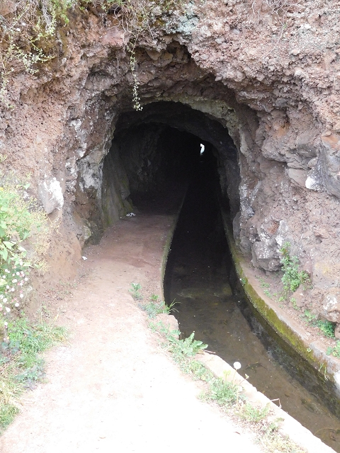 22.06.2016 Levada do Norte — Auf der Levada do Norrte durch den Cabo Girao-Tunnel bis nach Nogueira — Foto 18