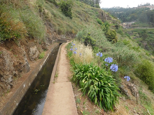 22.06.2016 Levada do Norte — Auf der Levada do Norrte durch den Cabo Girao-Tunnel bis nach Nogueira — Foto 20