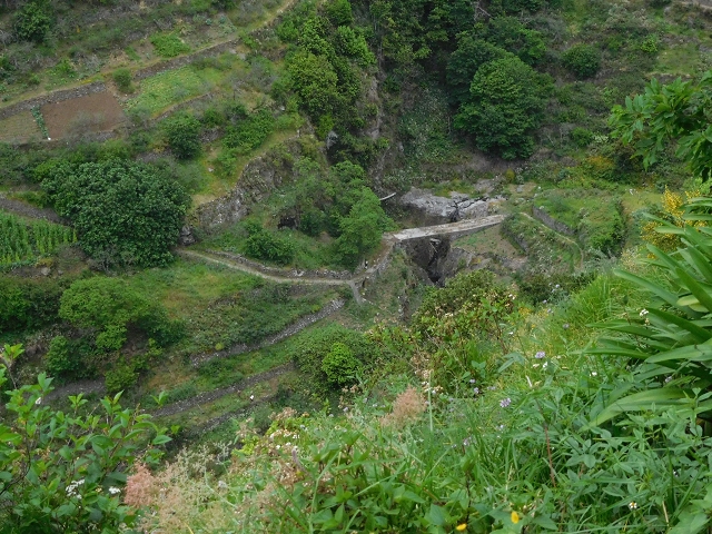 22.06.2016 Levada do Norte — Im Tal der Ribeira da Caixa — Foto 2