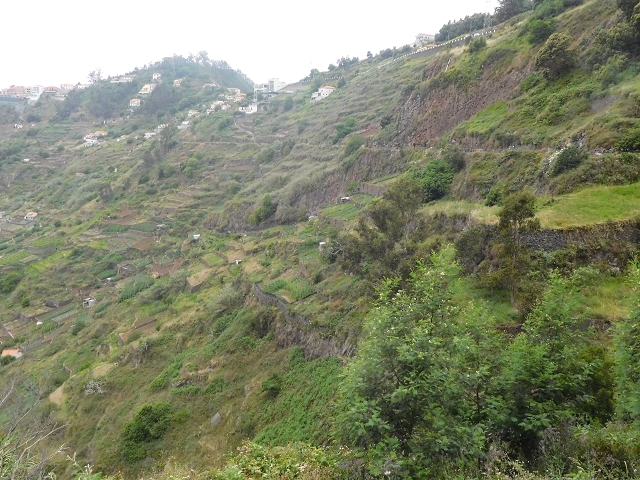 22.06.2016 Levada do Norte — Auf der Levada do Norrte durch den Cabo Girao-Tunnel bis nach Nogueira — Foto 28