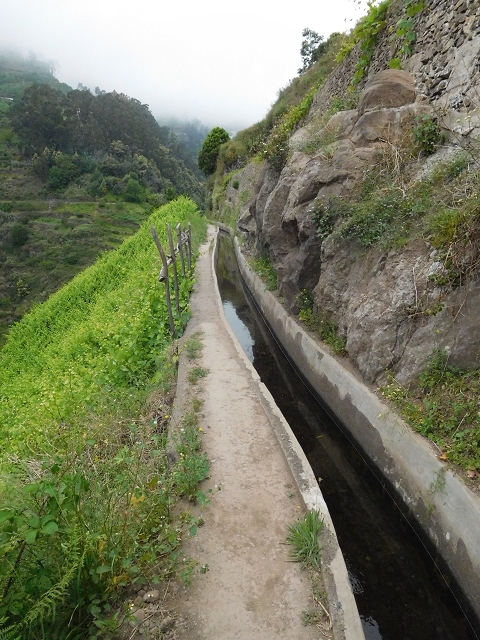 22.06.2016 Levada do Norte — Im Tal der Ribeira da Caixa — Foto 3