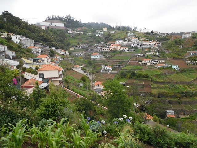 22.06.2016 Levada do Norte — Auf der Levada do Norrte durch den Cabo Girao-Tunnel bis nach Nogueira — Foto 37