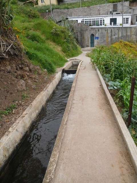 22.06.2016 Levada do Norte — Auf der Levada do Norrte durch den Cabo Girao-Tunnel bis nach Nogueira — Foto 39