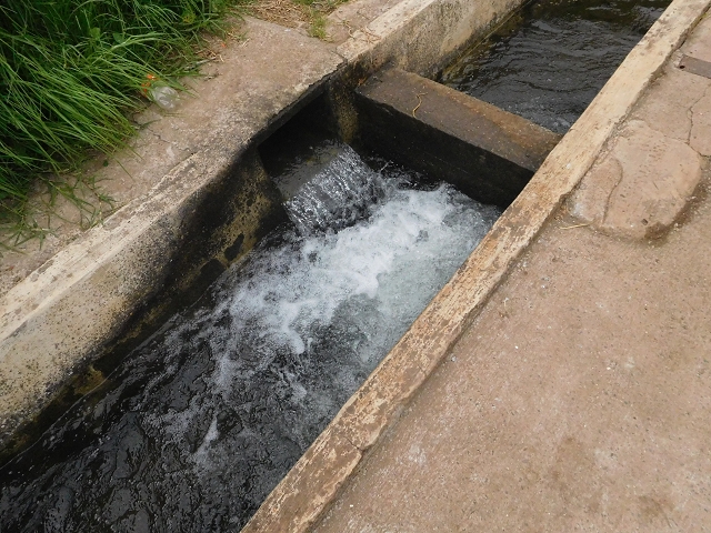 22.06.2016 Levada do Norte — Auf der Levada do Norrte durch den Cabo Girao-Tunnel bis nach Nogueira — Foto 40