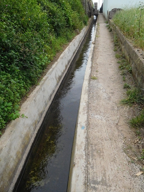 22.06.2016 Levada do Norte — Auf der Levada do Norrte durch den Cabo Girao-Tunnel bis nach Nogueira — Foto 45