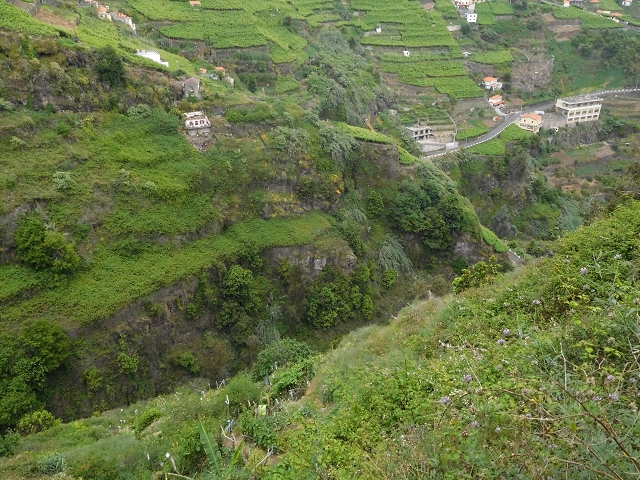 22.06.2016 Levada do Norte — Ab- und Aufstieg zur Ribeira da Caixa und zurück zum Ausgangspunkt — Foto 4