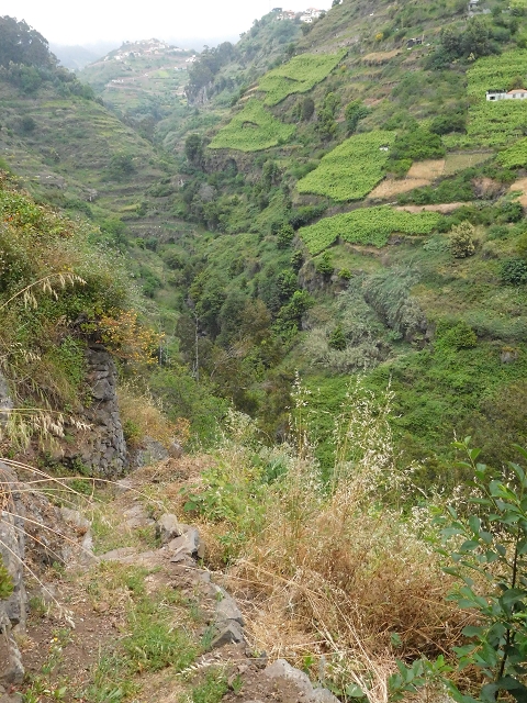 22.06.2016 Levada do Norte — Ab- und Aufstieg zur Ribeira da Caixa und zurück zum Ausgangspunkt — Foto 5