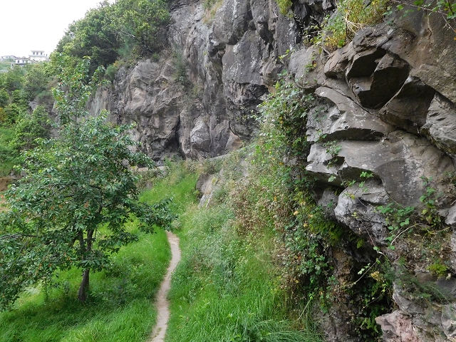 22.06.2016 Levada do Norte — Im Tal der Ribeira da Caixa — Foto 5