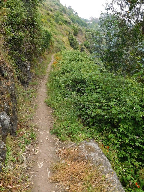 22.06.2016 Levada do Norte — Ab- und Aufstieg zur Ribeira da Caixa und zurück zum Ausgangspunkt — Foto 8