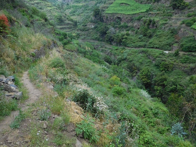 22.06.2016 Levada do Norte — Ab- und Aufstieg zur Ribeira da Caixa und zurück zum Ausgangspunkt — Foto 9