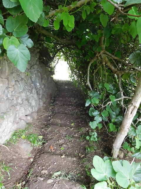 22.06.2016 Levada do Norte — Ab- und Aufstieg zur Ribeira da Caixa und zurück zum Ausgangspunkt — Foto 10