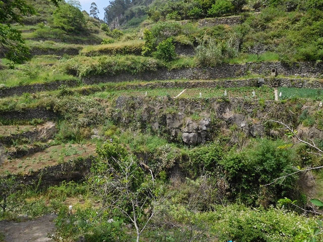 22.06.2016 Levada do Norte — Ab- und Aufstieg zur Ribeira da Caixa und zurück zum Ausgangspunkt — Foto 11